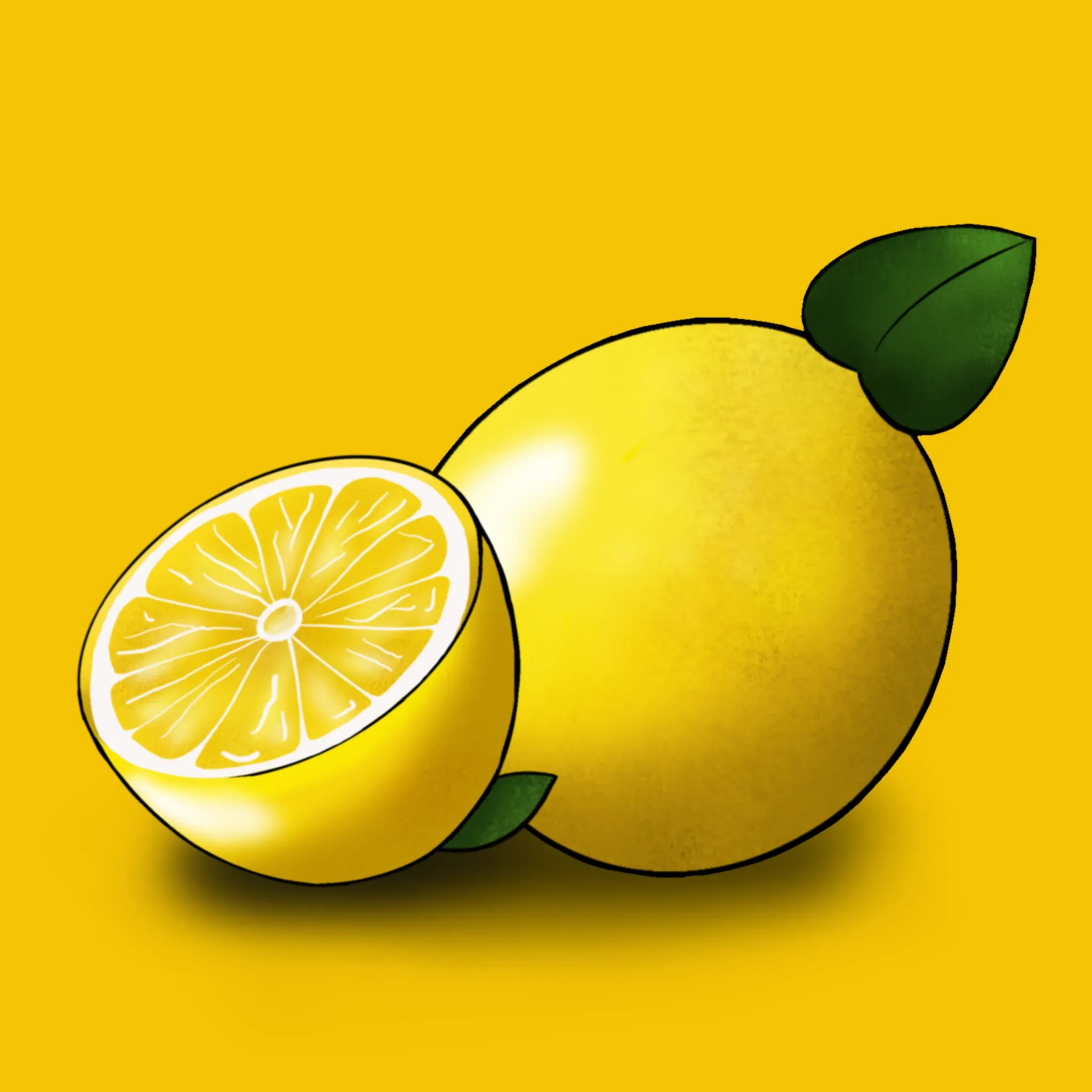 Illustration Collection — image 9